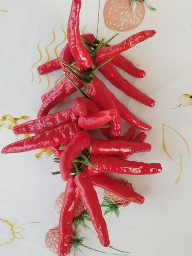 Coroncina peperoncini - coroncina, 25