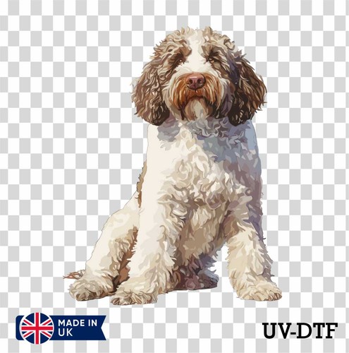Adesivo lagotto romagnolo cane - adesivo,