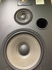JBL TLX8 Coppia diffusori 150W