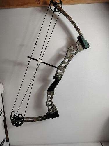 Fred bear element arco - fred,