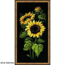 Set di punti croce Riolis