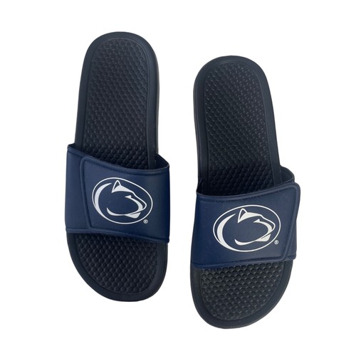 Penn state nittany lions - state,