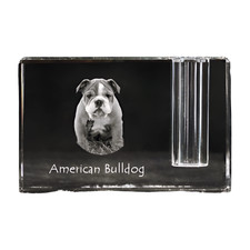 American Bulldog, Americano