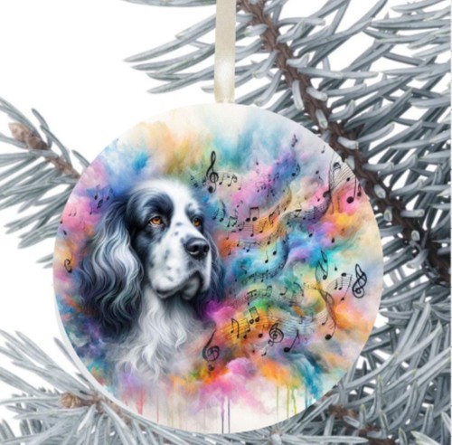 Setter regalo per cani - setter,