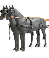 Finimento a pariglia per