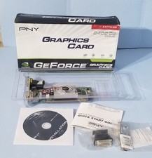 PNY GeForce 8400 GS 256MB