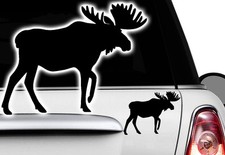 1x Adesivi Auto CERVI MOOSE