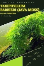 Taxiphyllum Barbieri (Java Moss): From Novice to Expert. Comprehensive Aquarium