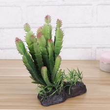  Piante Finte Terrario