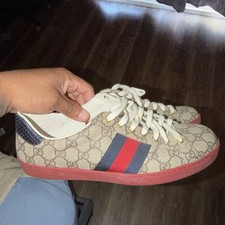 Sneakers Gucci Ace GG Web