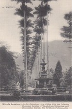 BRASILE - Rio de Janeiro - Orto Botanico - La celebre passeggiata delle palme