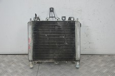 89866- Radiatore Con Elettroventola Piaggio Beverly 500 dal 2002 al 2006