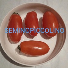 25 Semi Pomodoro San Marzano