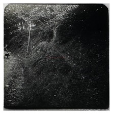 Fotografia Amatoriale