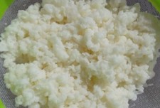 FERMENTI LATTICI VIVI GR 10