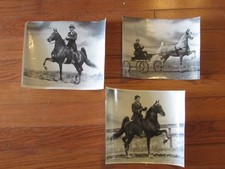 Set 3 FOTO trottoli cavallo
