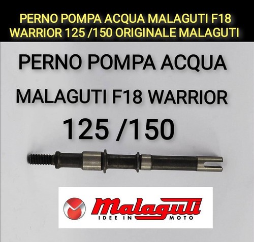 Perno pompa acqua malaguti f18 - perno,
