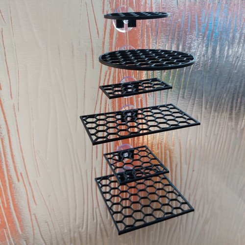 Scaffale coltivazione muschio - scaffale,