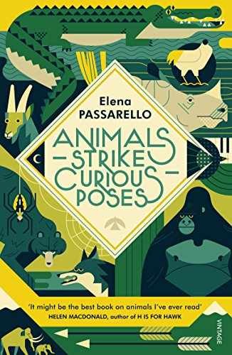 Animals strike curious - curious,