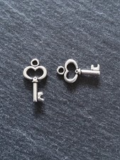 20 o 100 ciondoli chiave