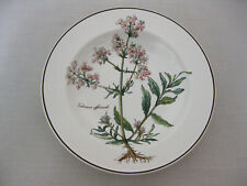 16679-16683/ V & B VILLEROY & BOCH - PIATTO ZUPPIERA - BOTANICA - DIVERSI