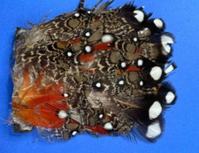 CAPPELLO IN PENNA ORNAMENTO -