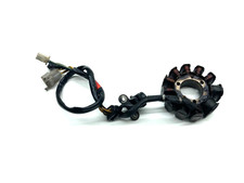 Statore alternatore magnete - statore,