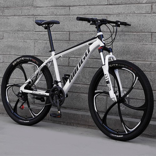 Ammortizzatore freno disco - a,