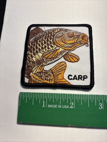 Carpe diem carp fish ferro - fish,