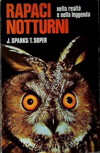 Rapaci notturni nella realtà - notturni:,