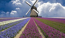 QUADRI MODERNI POSTER  100X70