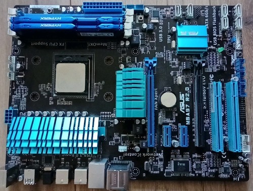 Scheda madre asus - scheda,