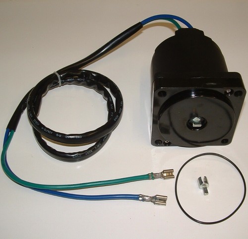 Evinrude johnson tempi v8 - tempi,