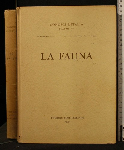 Conosci italia vol iii - l'italia., la