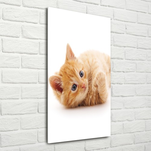 Tulup stampa vetro wall - tulup,