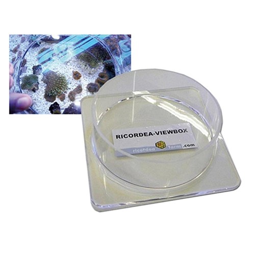 Ricordea farm view box - ricordea,