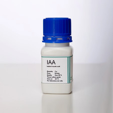 IAA | Acido indole-3-acetico |