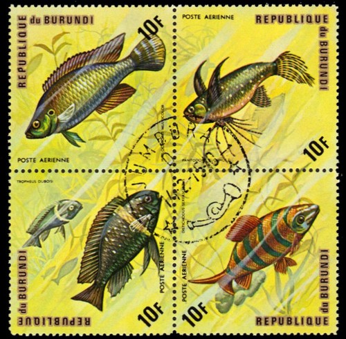 Burundi c207 pesce - pesce, africano