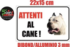 DOGO ARGENTINO Attenti cane