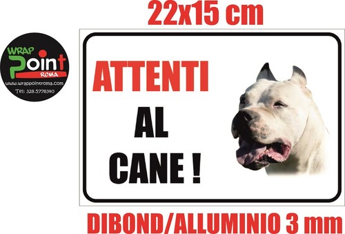 Dogo argentino attenti cane - argentino,