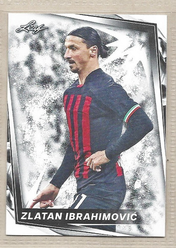 Zlatan ibrahimovic milan 2024 - ibrahimovic,
