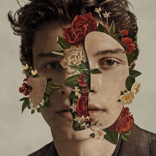 9265566 audio shawn mendes - audio,