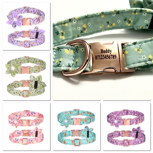Collare cane personalizzato - cane,