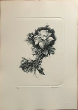 RENZO VESPIGNANI incisione acquaforte Natura Morta 1979  50x35 pubblicata 