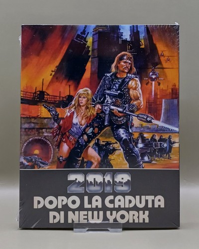 2019 dopo caduta - 2019,
