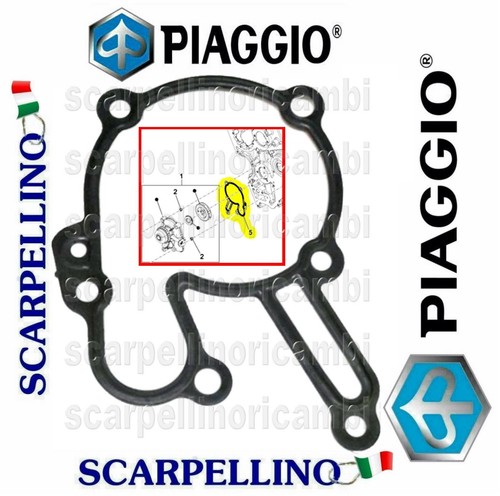 Guarnizione cop pompa acqua - guarnizione,