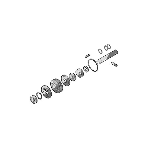 Spamg164a00 gruppo albero - albero, di