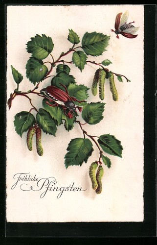 Cartolina maggiolino - cartolina,