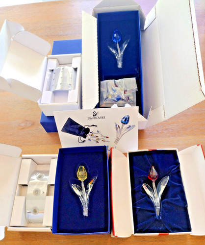 Swarovski scs member - member, gifts