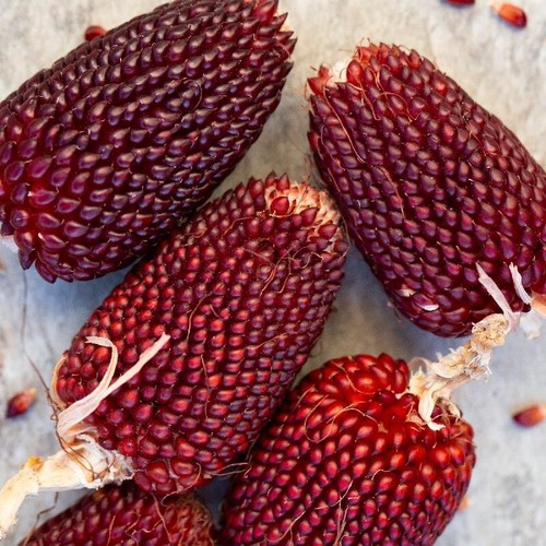 Popmais mais fragole - mais,